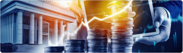 Investment Banking Program